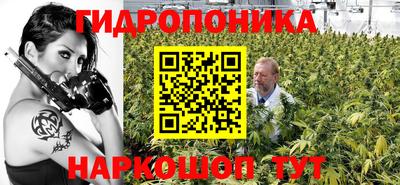 стаф Чебаркуль