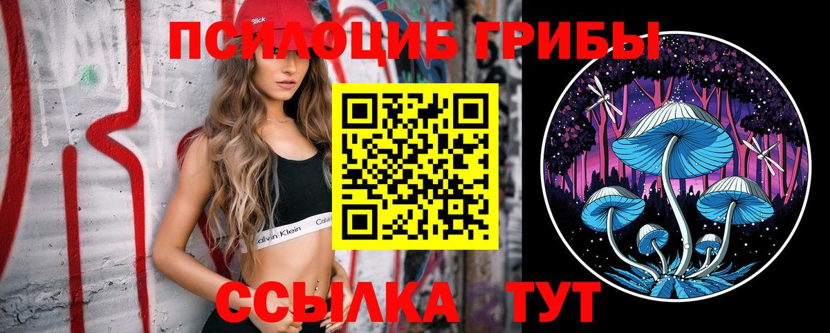Галлюциногенные грибы Psilocybine cubensis Чистополь